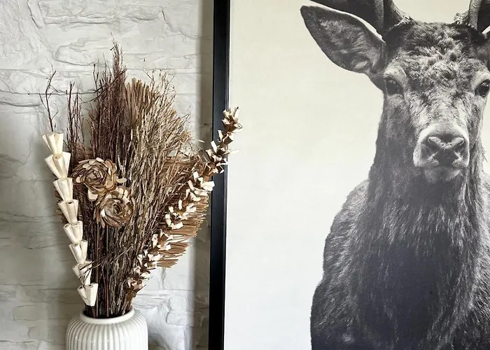 Cottagechristine בית נופש *